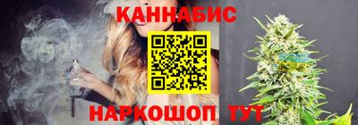 apvp Можга