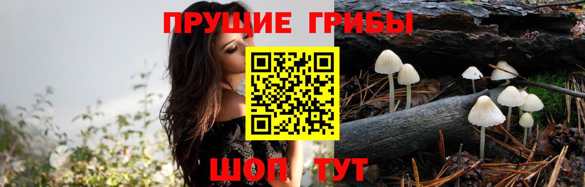 Галлюциногенные грибы прущие грибы  Псилоцибиновые грибы GOLDEN TEACHER  где купить наркоту  Ухта  Вход с VPN 